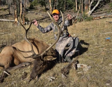 Sns Wyoming Wilderness Elk 2026 2.jpg